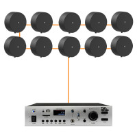 Акустическая система для помещения 10 потолочных динамика Audac NELO706V черный