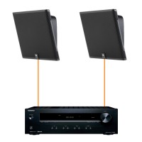 Акустика для магазина 2 настенные колонки JBL SLP12-Onkyo | черный