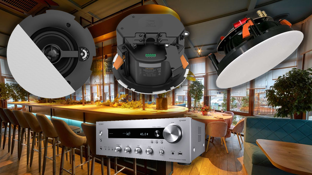 Потолочные динамики и колонки в потолок для ресторана и кафе