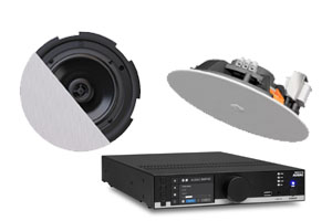 Потолочные музыкальные системы для ресторана